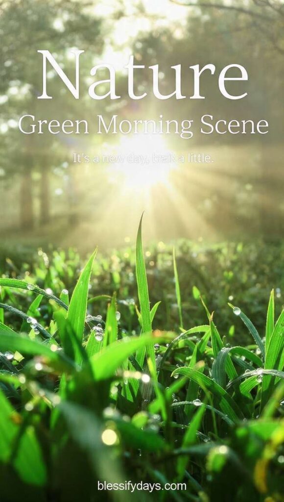 Green nature morning scene with dew