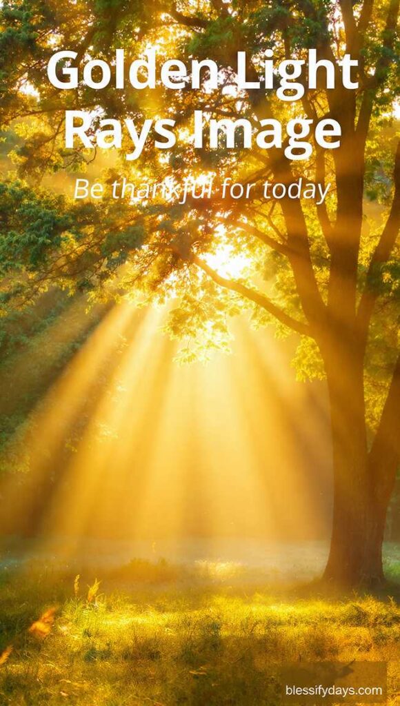 Golden light rays morning image